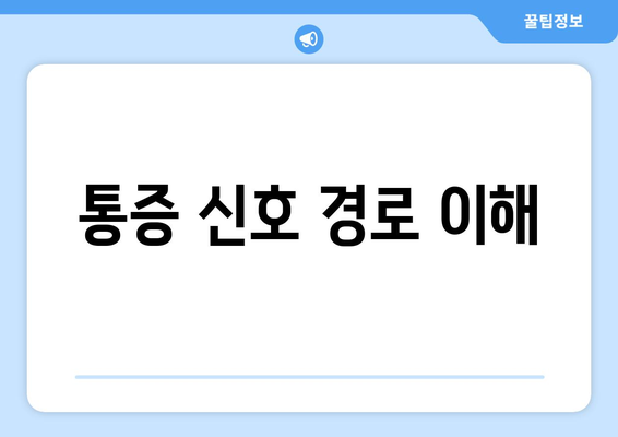 통증 신호 경로 이해