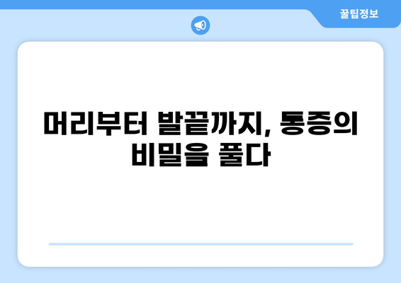 통증 부위별 질환| 내 몸이 보내는 신호, 제대로 알아보기 | 통증 원인, 증상, 진단, 치료