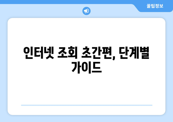 인터넷 조회 초간편, 단계별 가이드