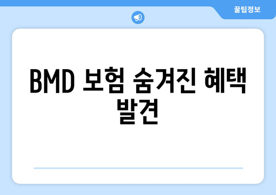 BMD 보험 숨겨진 혜택 발견