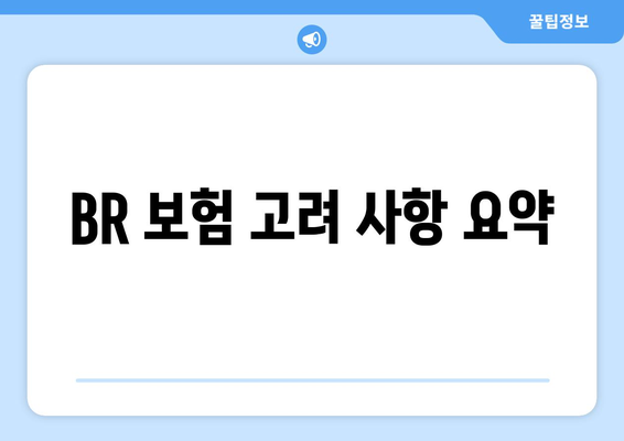 BR 보험 고려 사항 요약