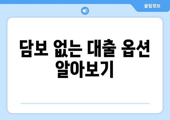 담보 없는 대출 옵션 알아보기