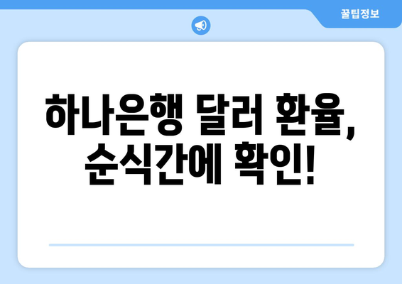 하나은행 달러 환율, 순식간에 확인!