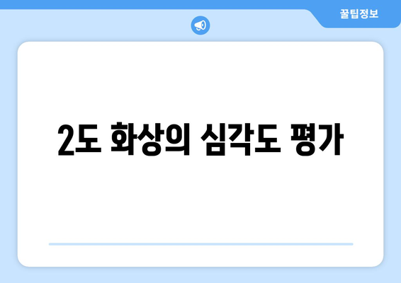 2도 화상의 심각도 평가