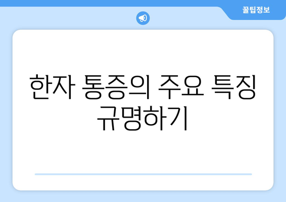 한자 통증의 주요 특징 규명하기