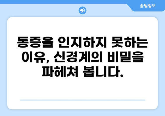 통증을 못 느끼는 병| 원인과 증상, 그리고 치료법 | 희귀 질환, 신경계 질환, 통증 인지
