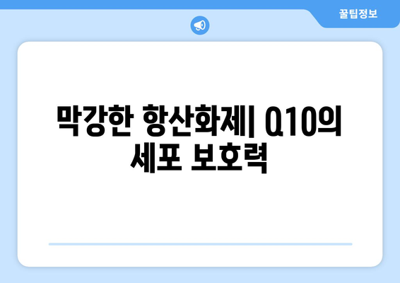 막강한 항산화제| Q10의 세포 보호력
