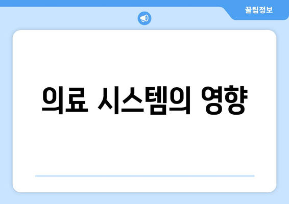 의료 시스템의 영향