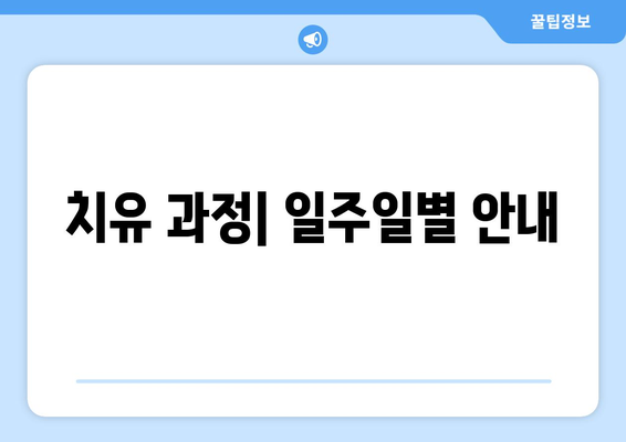 치유 과정| 일주일별 안내