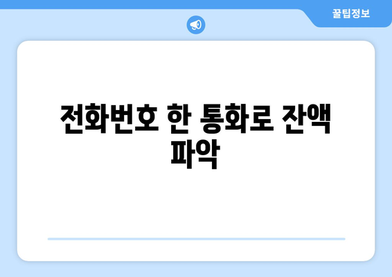 전화번호 한 통화로 잔액 파악