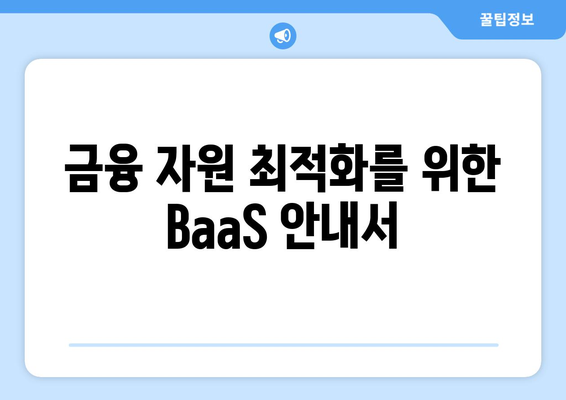 금융 자원 최적화를 위한 BaaS 안내서