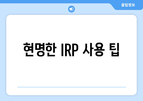 현명한 IRP 사용 팁
