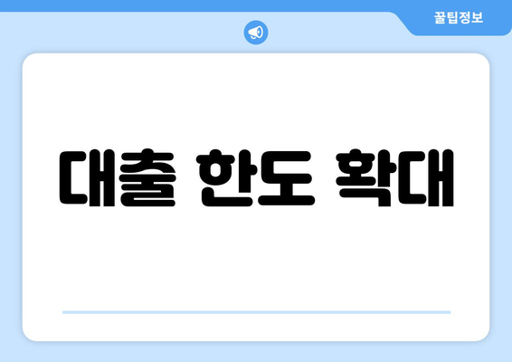 대출 한도 확대