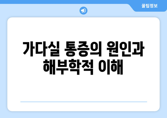 가다실 통증의 원인과 해부학적 이해