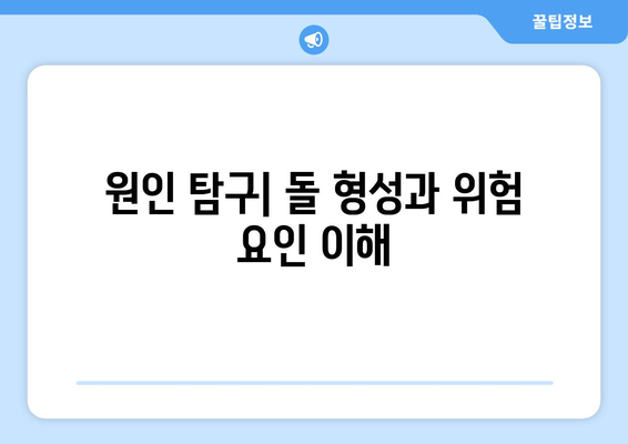 원인 탐구| 돌 형성과 위험 요인 이해