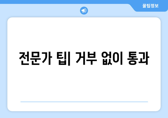 전문가 팁| 거부 없이 통과