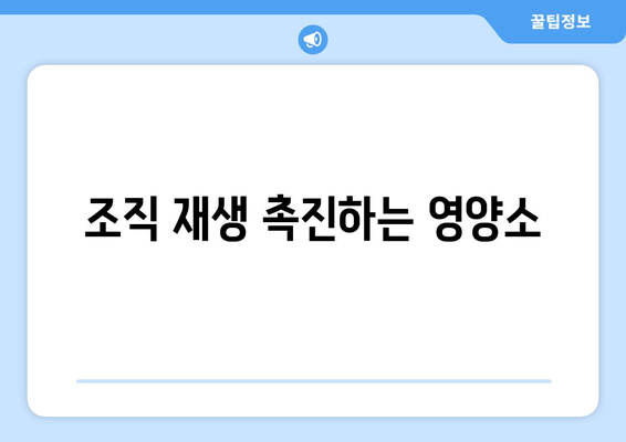 조직 재생 촉진하는 영양소