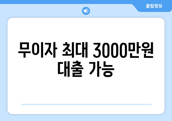 무이자 최대 3000만원 대출 가능