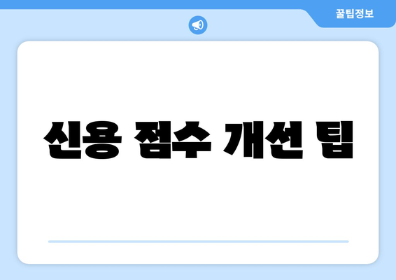 신용 점수 개선 팁