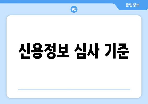 신용정보 심사 기준