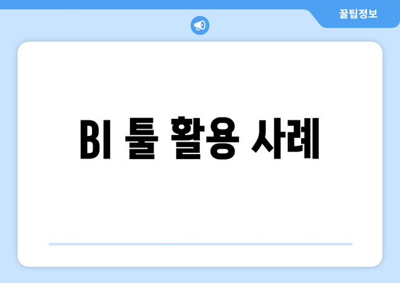BI 툴 활용 사례