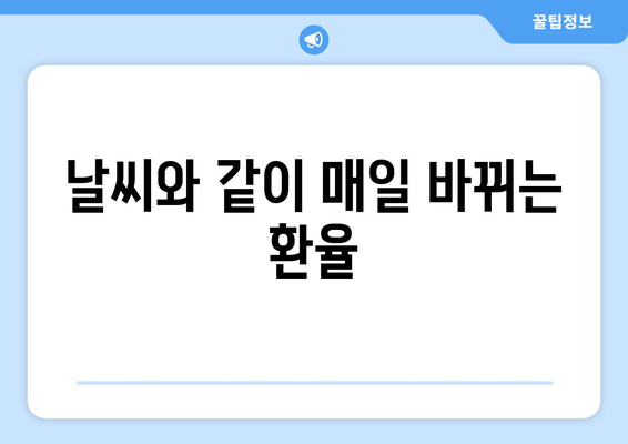 날씨와 같이 매일 바뀌는 환율