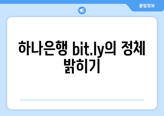 하나은행 bit.ly의 정체 밝히기