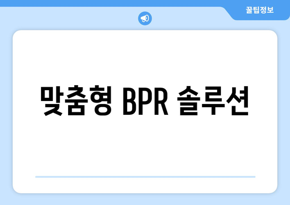 맞춤형 BPR 솔루션