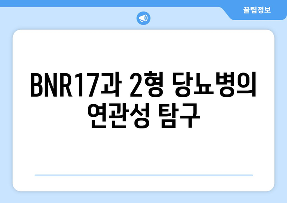 BNR17과 2형 당뇨병의 연관성 탐구