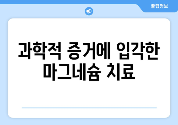 과학적 증거에 입각한 마그네슘 치료