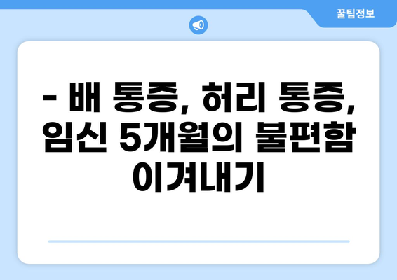 임신 5개월, 흔한 통증과 대처법 | 임신 통증, 배 통증, 허리 통증, 5개월 임산부