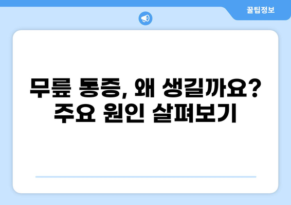 무릎 통증, 원인 파악부터 치료까지! 당신의 무릎 통증 검사 가이드 | 무릎 통증, 진단, 검사, 치료, 원인