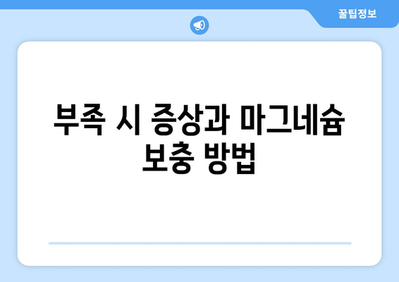 부족 시 증상과 마그네슘 보충 방법