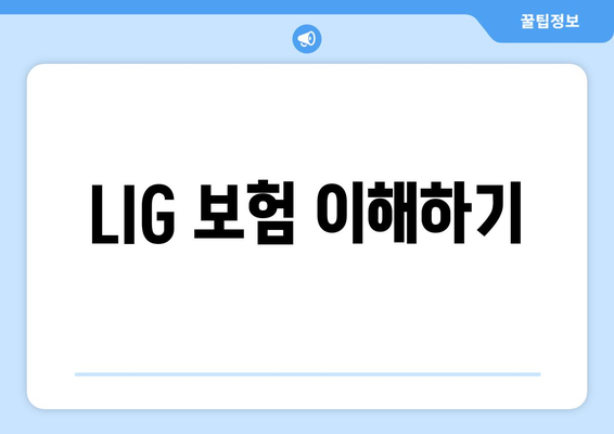 LIG 보험 이해하기