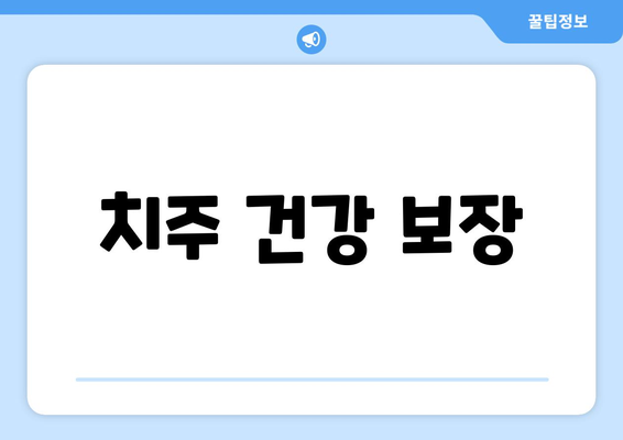 치주 건강 보장