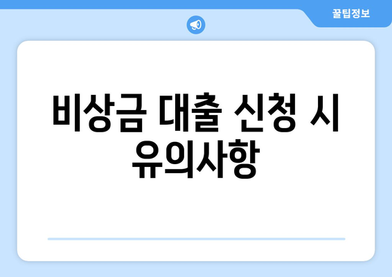비상금 대출 신청 시 유의사항