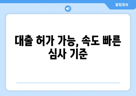 대출 허가 가능, 속도 빠른 심사 기준