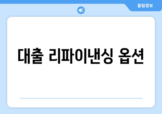 대출 리파이낸싱 옵션