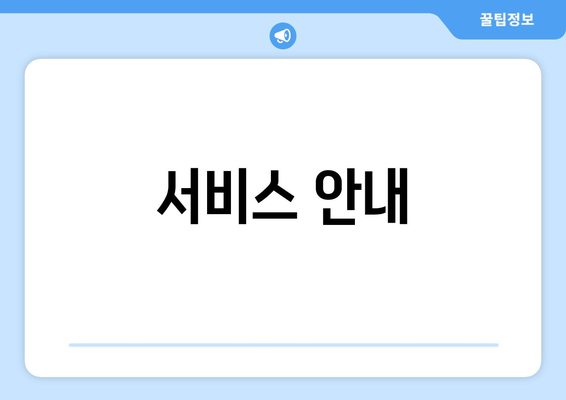 서비스 안내