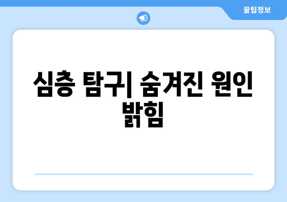 심층 탐구| 숨겨진 원인 밝힘