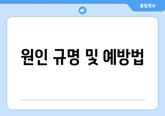 원인 규명 및 예방법