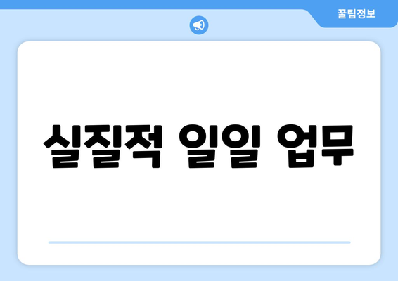 실질적 일일 업무