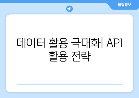 데이터 활용 극대화| API 활용 전략