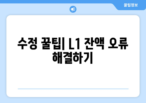 수정 꿀팁| L1 잔액 오류 해결하기