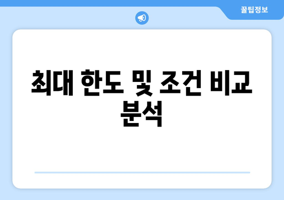 최대 한도 및 조건 비교 분석