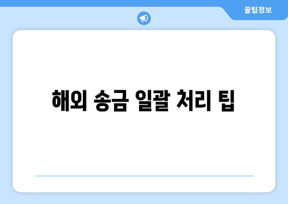 해외 송금 일괄 처리 팁