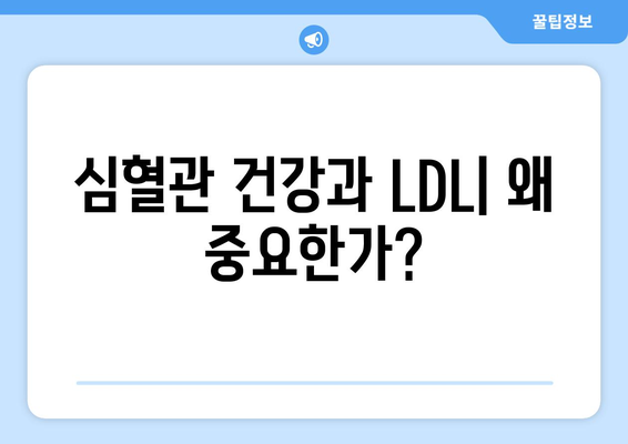 심혈관 건강과 LDL| 왜 중요한가?