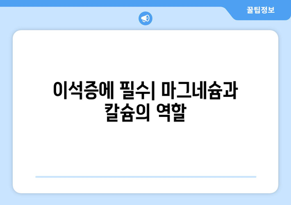 이석증에 필수| 마그네슘과 칼슘의 역할