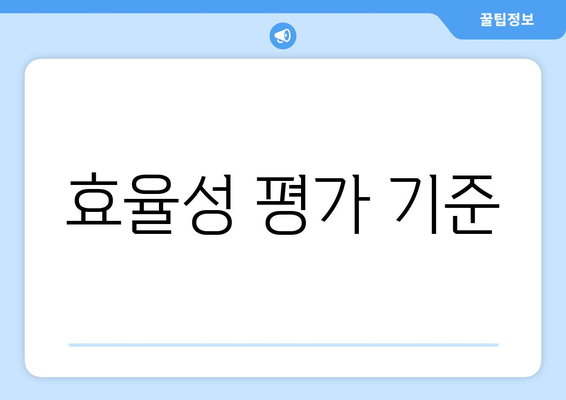 효율성 평가 기준