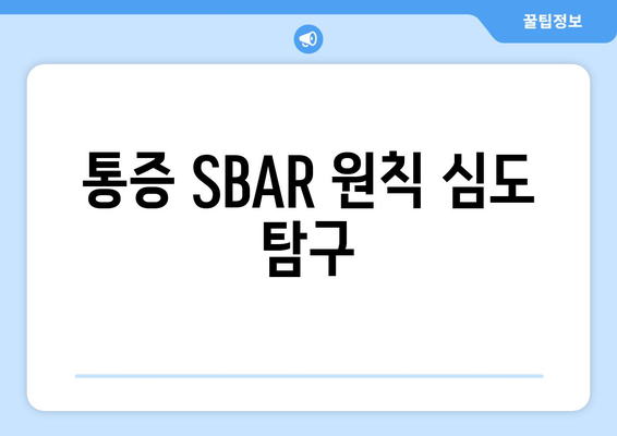 통증 SBAR 원칙 심도 탐구
